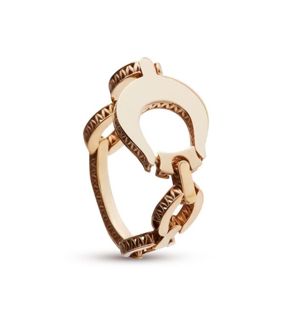 ANILLO ILARIA