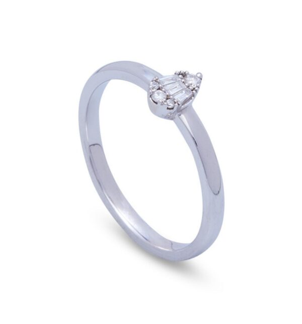 ANILLO ELISA